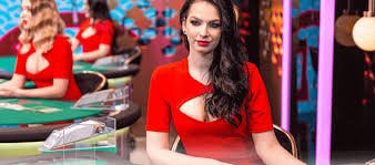 pussy888mobi Meja Slot Popular